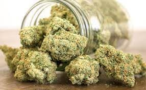 CBD Flower Shop in London Offering Transparent, Compliant, and Trusted CBD Solutions