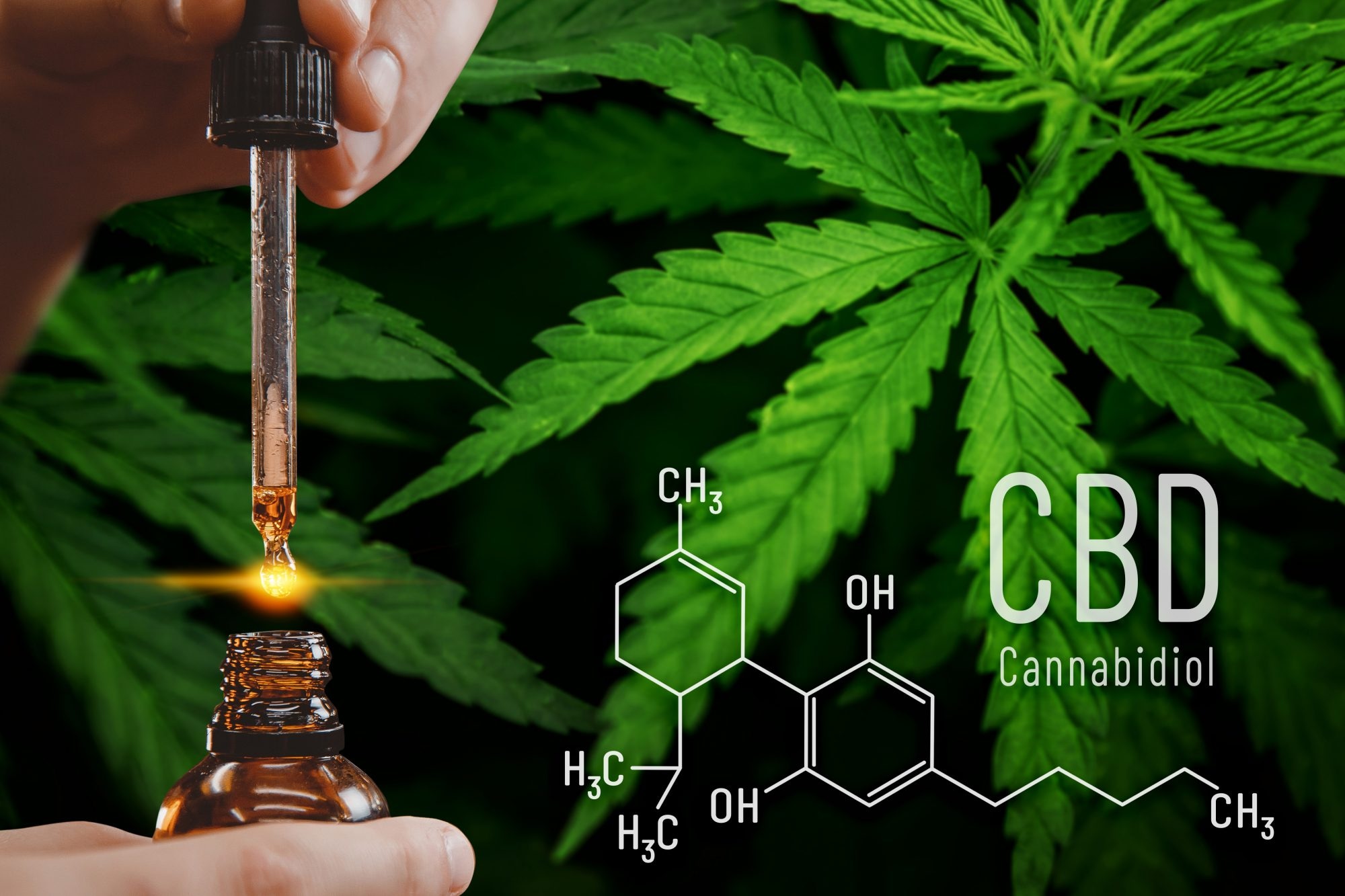 CBD OG Kush Assurance: Rigorous Laboratory Testing Ensures the Best Medicinal Marijuana