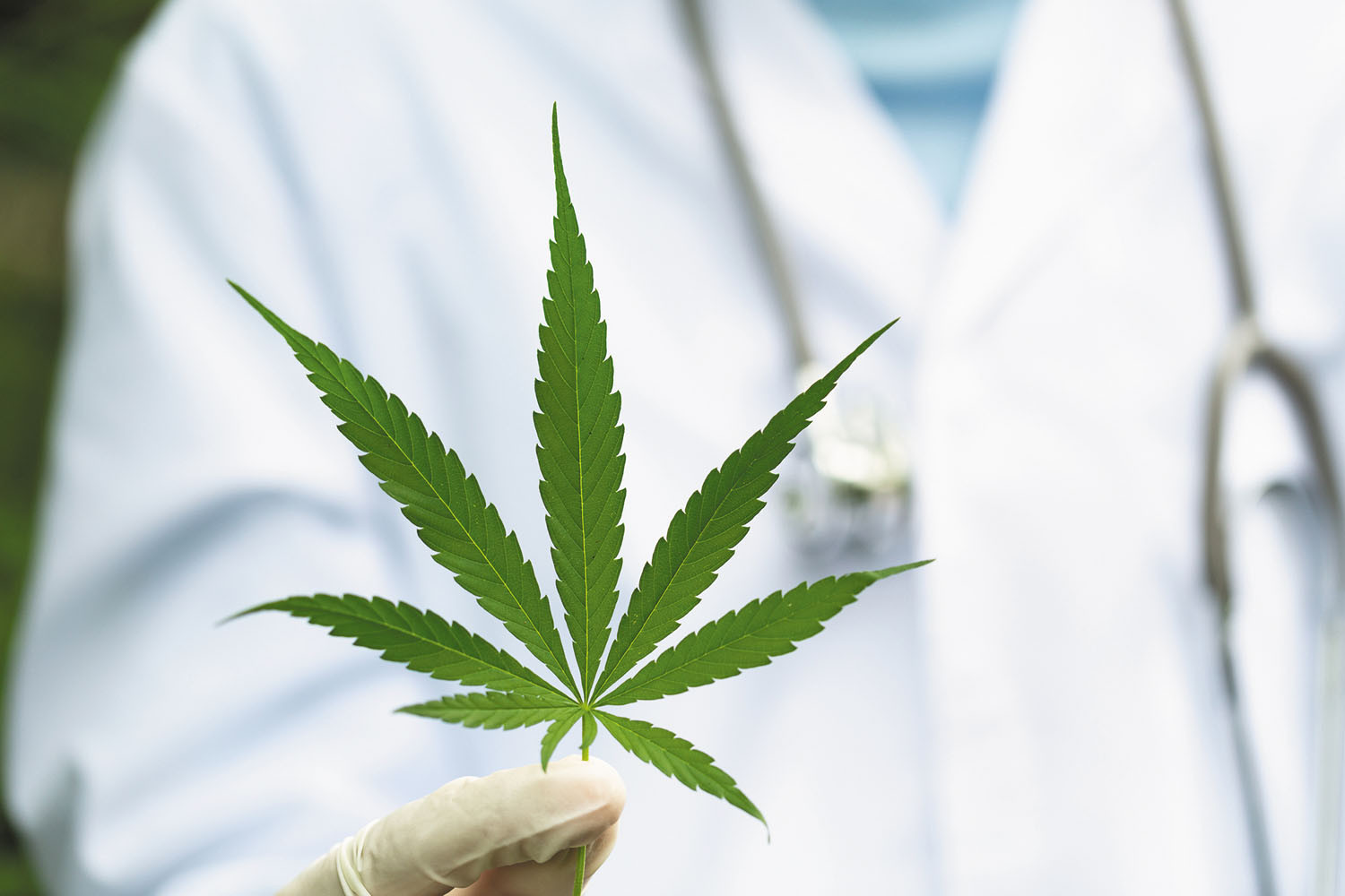 Cannabis Concentrates Aussie | Weed Man Dispensary Offers Top Extracts, Hash, Wax & Shatter Across Melbourne & Sydney