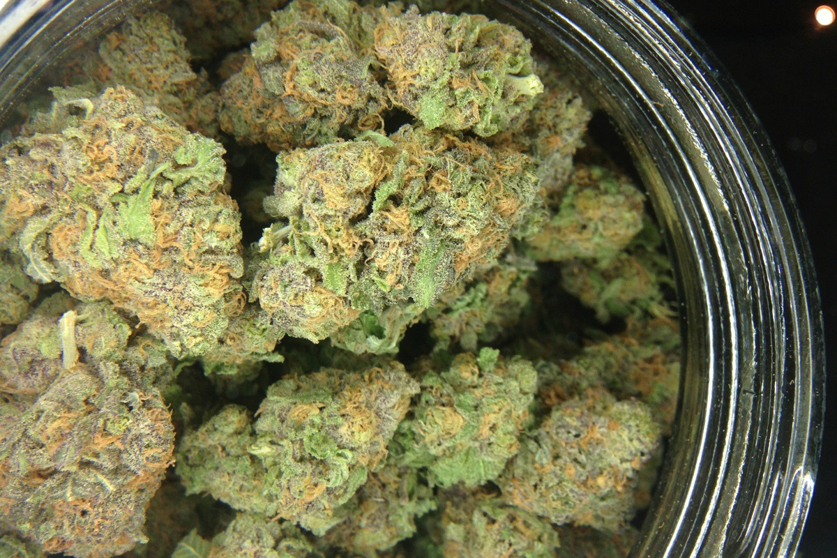 Flores frescas, cítricas y cremosas disponibles con wholesale CBD flowers Spain de La Cosechera