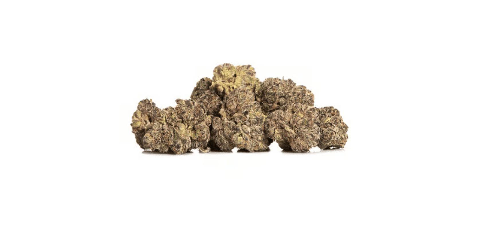 Weed Strains for Sale Europe: Legal THC-A Flower & Concentrates Online
