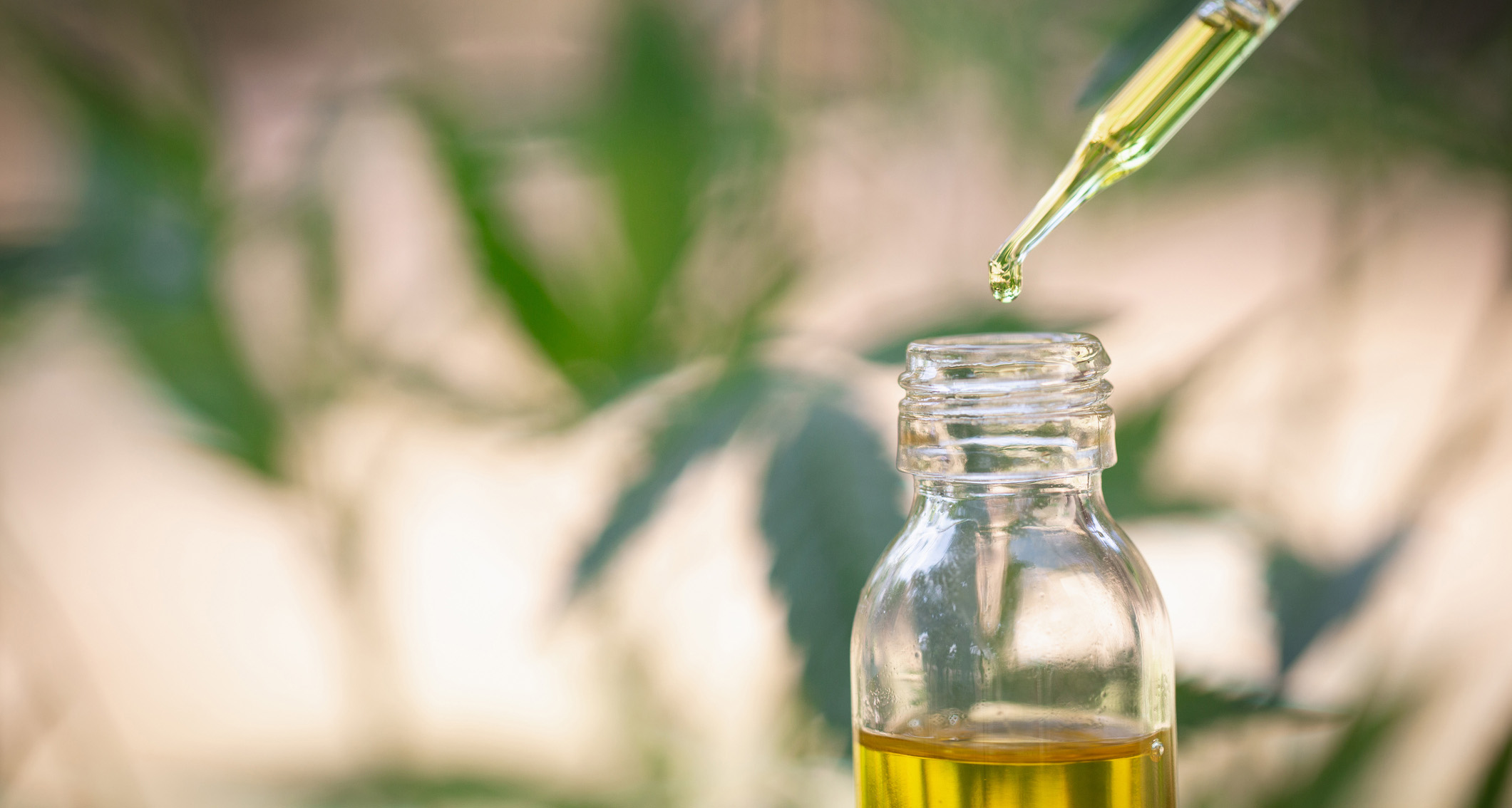 Nutre tu piel con lujo: comprar aceite de CBD premium para un cuidado natural incomparable